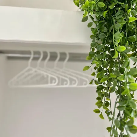 Wanderlust Petrisberg - 54 Lägenhet *